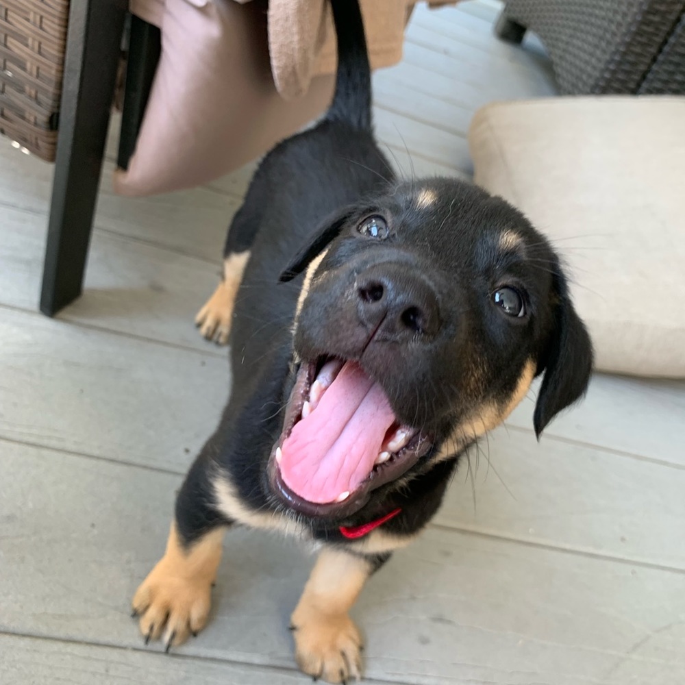 Meet your Posher, Mimi